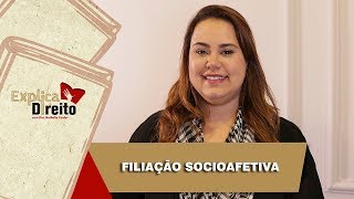 Explica Direito Filiação Socioafetiva  2019 [upl. by Akiehs]