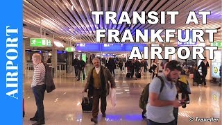 TRANSIT WALK AT FRANKFURT Airport FRA Terminal 1  Connection Flight Transfer Arriving amp Departing [upl. by Nuahsed478]